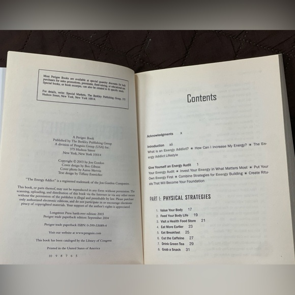 Energy Addict — Book by Jon Gordon - Picture 4 of 12